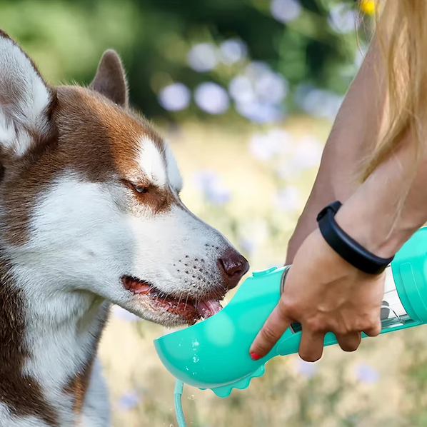 犬を潤し、栄養を与える4-in-1ボトル 