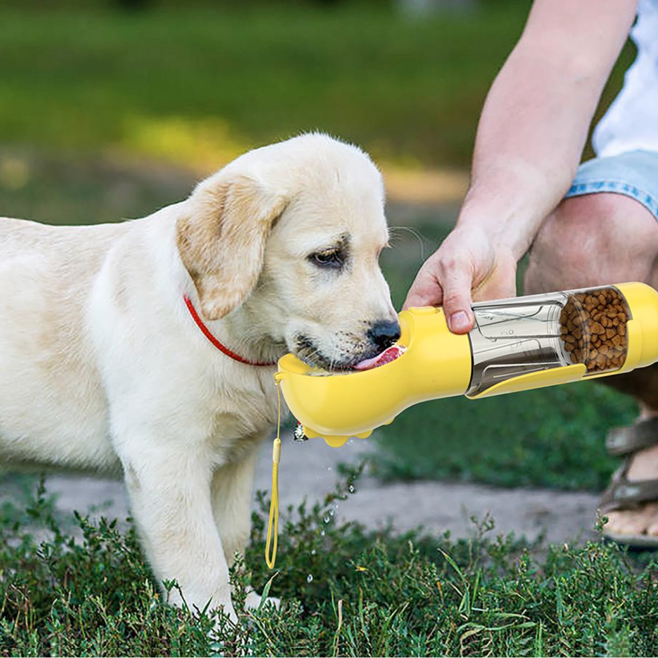 犬を潤し、栄養を与える4-in-1ボトル 