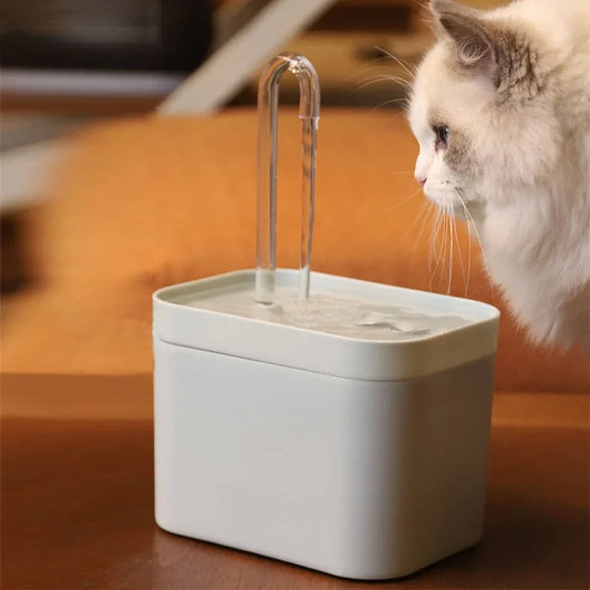 Vattenfontän för optimal hydrering av din katt